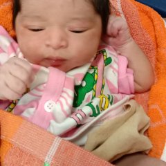 vanika